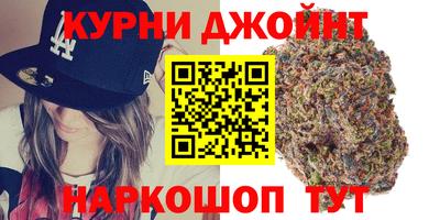 гидра Кимры