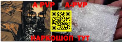 jwh Кингисепп