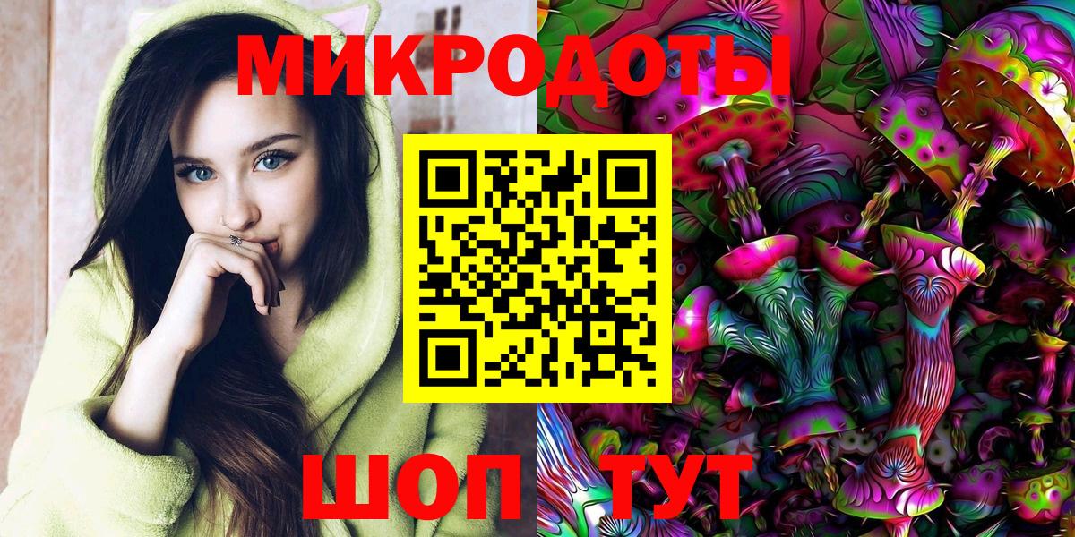 Галлюциногенные грибы Psilocybe Ефремов
