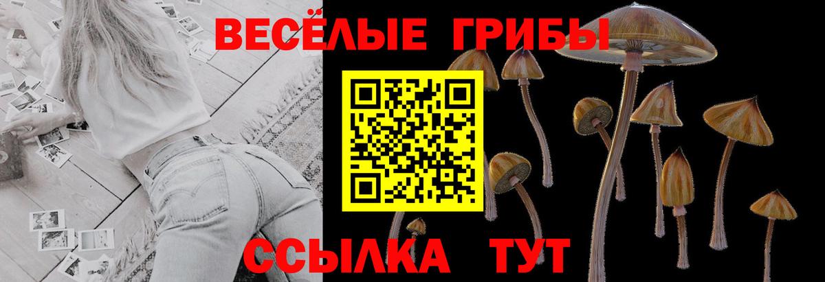 Галлюциногенные грибы прущие грибы  Вход с VPN  Ефремов 